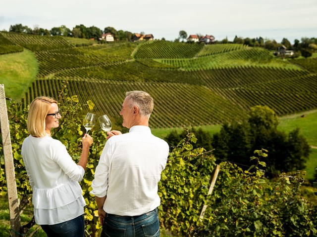 Promenez-vous sur les plus belles routes des vins jusqu&#39;&#224; la plus vieille vigne du monde